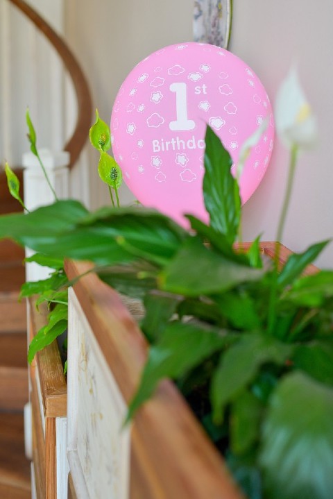 Andreea Bordeanu Photography-198